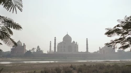 Taj Mahal Behind the Branches of Trees Video in Motion