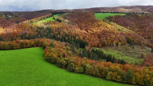 Aerial View of Colorful Forest in Autumn Season