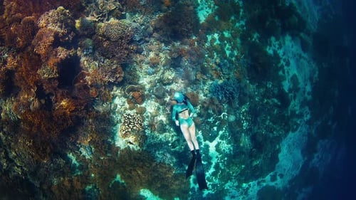 Woman Freediver Swims Underwater Along the Vivid Coral Reef in the Komodo National Park in Indonesia