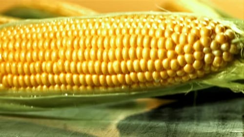 A Cob of Corn Falls on a Wet Table Filmed on a Highspeed Camera at 1000 Fps