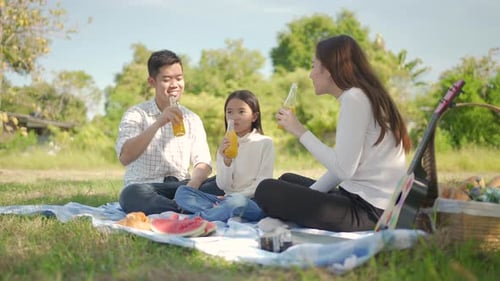 Family Enjoys Sunny Picnic Outdoors on Green Grass