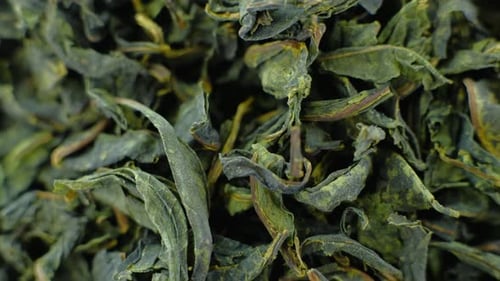 Rotating Pile of Jasmine Green Tea Macro Video