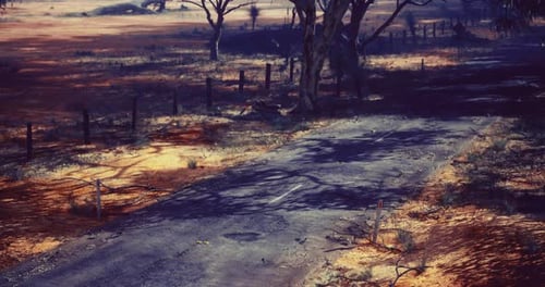 Scenic Dirt Road Under Tree Shadows in a Rural Area During Daylight