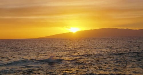 Sea Surface Small Waves Against Golden Sunset Sky