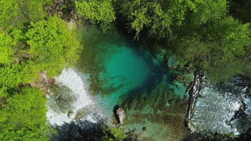 Türkisfarbenes Quellwasser, umgeben von üppigem grünem Wald