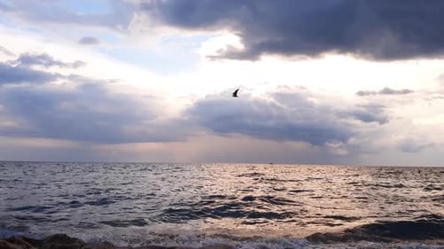 Sea waves and rainy clouds on the horizon. Bird fly above water surface.