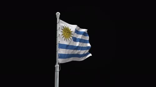 Uruguay National Flag Waving in Wind