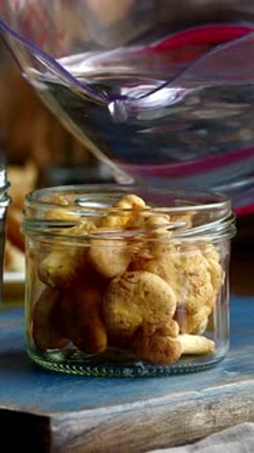 Vertical View Of Mushrooms