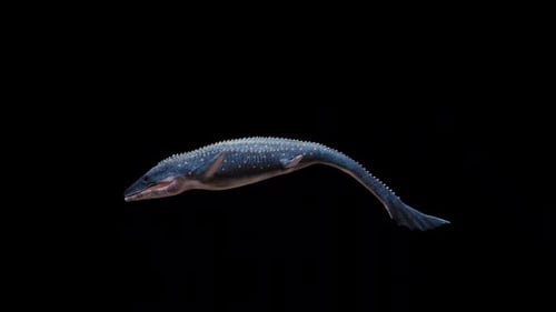Realistic 3D Mosasaur Swimming Animated Prehistoric Marine Reptile