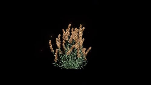Lavandula-Blüten, die mit Partikeln wachsen