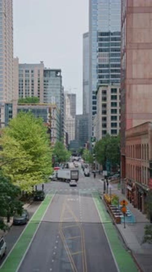 Handheld Scene of Downtown Chicago Street with Green Bike Lane and City Traffic Flowing Between Tall
