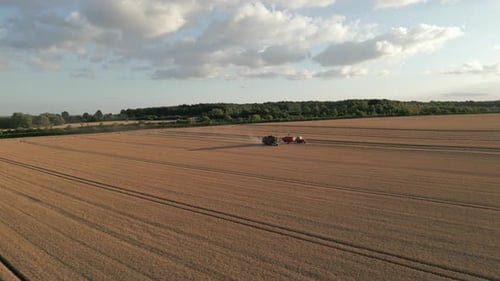 Establishing Drone Shot of Combine Harvester Harvesting and Unloading Grain to Tractor with Red Trai