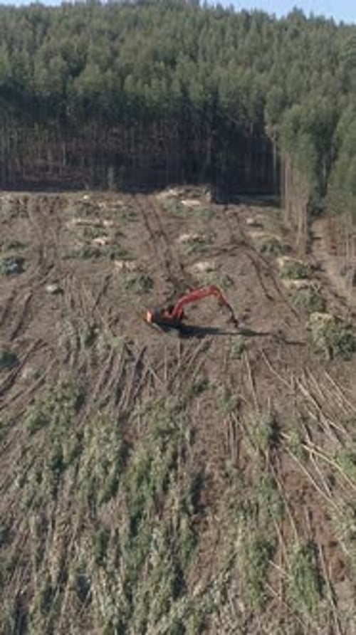 Aerial View Green Forest Deforestation