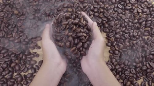 Hands Sifting Smoking Coffee Beans, Overhead Shot