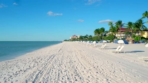 Aerial Beach Umbrellas Summer Relaxation