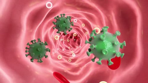 Human Vein Blood Stream. Infected By Viruses. Pandemic Disease.
