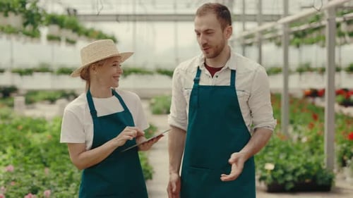 Garden Workers are Talking About Work Walking Through the Rows with Flowers at the Green House
