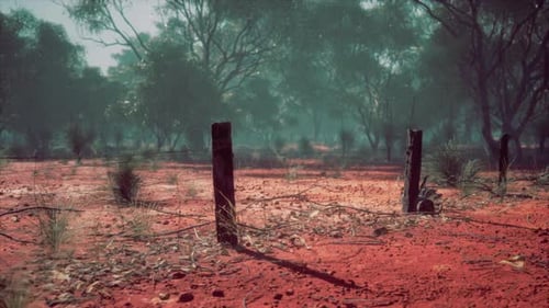 Rustic Fence Line in Arid Bushland Landscape