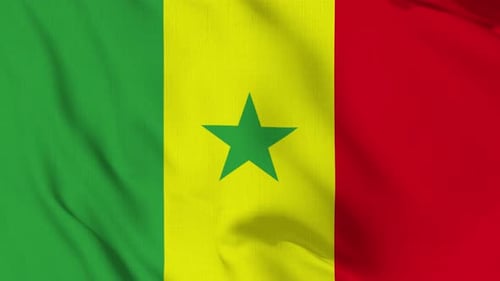 Senegal Flag Waving in Realistic Fabric Seamless Loop