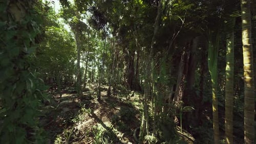 Lieu axé sur la conservation avec une faune et une flore diversifiées
