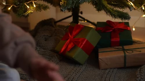 Placing Presents Under the Christmas Tree