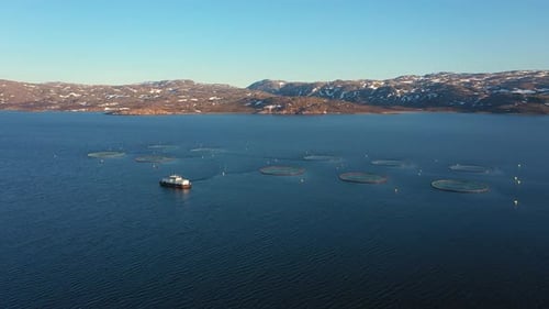 Aerial footage Farm salmon fishing in Norway