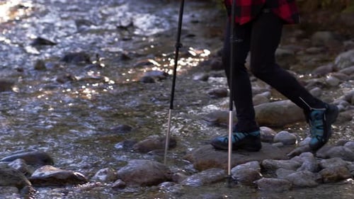 Senior Woman Hiker with Nordic Poles Walking Outdoors in Forest in Nature