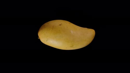 Mango Viewed from Top Rotating Seamlessly in Loop Isolated on Black Background with Smooth Yellow