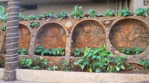 pedra natural, jardim de cor natural, linda vista lenta de perto