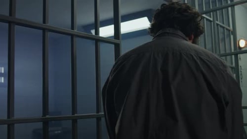 Prison Employee Opens Jail Cell for Criminal