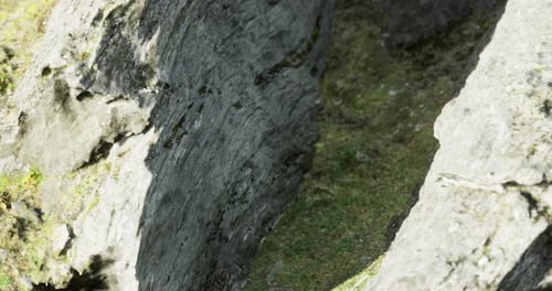 Abstract Fly-Through Animation Through Rocky Crevice