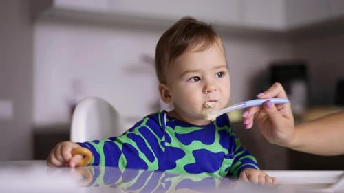 Adorable Infant Being Fed Lunch in High Chair