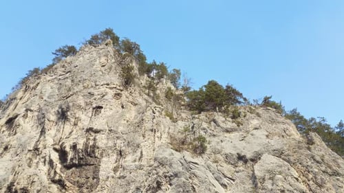 Rocky cliff covered with trees