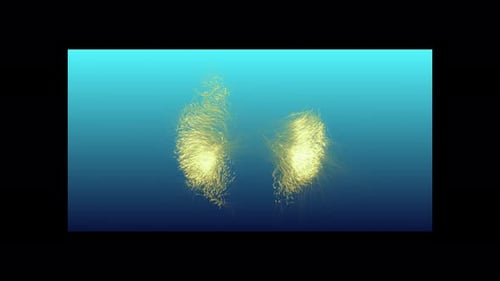 Glamour Collection: Two arrows from sides collide in center to disperse golden whiskers eventually v