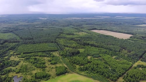 Aerial View of Forests and Fields
