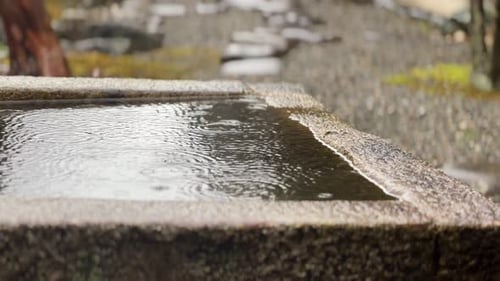 Raindrops Falling On Stone Washbasin (Tsukubai) Outside Nanzen-ji Temple In Kyoto, Japan. closeup sh