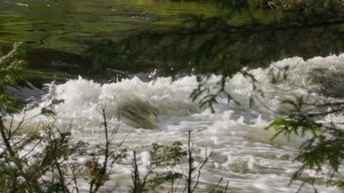 river rapids behind the foliage. water cascading, flowing down