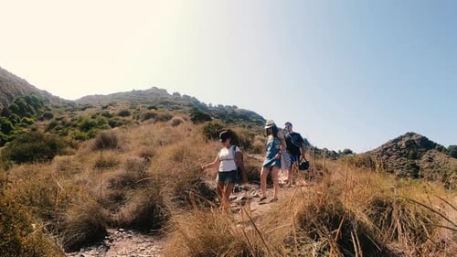 Hikers walking in group at mountain forests and pathways. Group of people hiking in hill landscape.