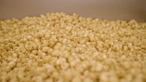 Golden yellow popcorn ready to eat. Close up camera pulling away.