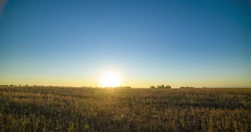 Flat Hill Meadow Timelapse at the Summer Sunrise Time Wild Nature and Rural Grass Field Sun Rays and