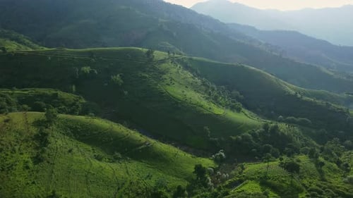 Scenic of idyllic rolling hills landscape with blooming meadows and mountain ranges i