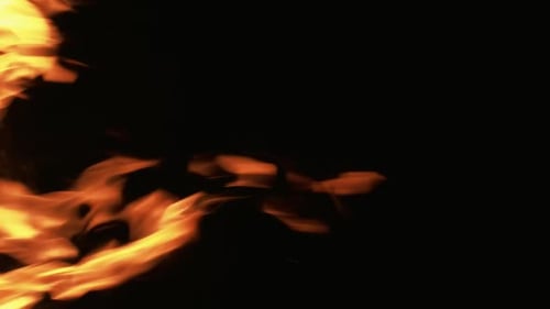 Vertical Burning Fire Flame Texture Campfire Black