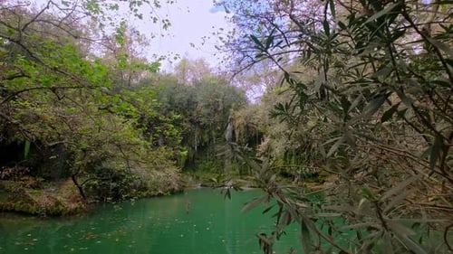 Cascade forestière paisible se jetant dans le lac vert