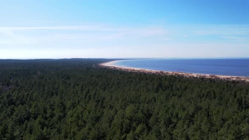 Forest Landscape AERIAL View Drone with Sandy Beach of Baltic Sea in Poland Green Forest Nature