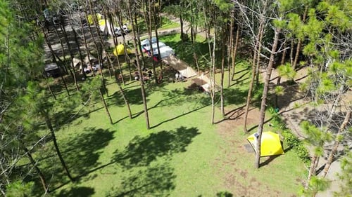Nature's Retreat in Lembang, Drone View of Tranquil Camping Site Amidst Majestic Pine Forest