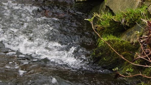 Cascada en un río en la naturaleza salvaje 05