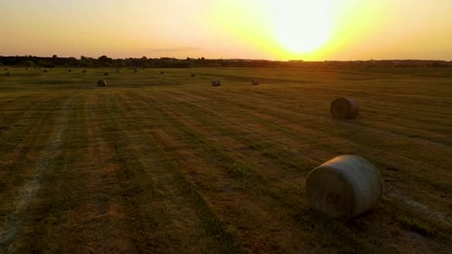 Field with Haystacks on Summer Evening at Sunset Meadow After Harvest with Hay Rolls