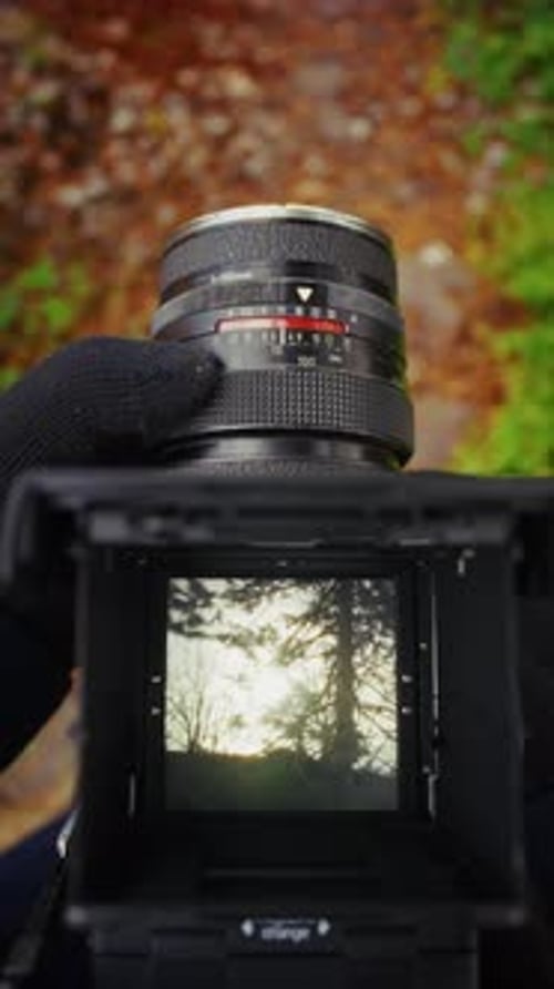 Auf gepflasterten Wegen spazieren gehen und dabei die Natur filmisch dokumentieren