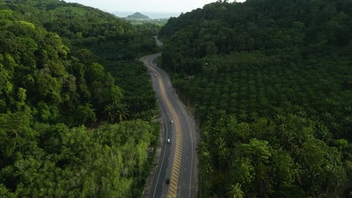 Aerial over a highway running through a tropical lush heavily jungled valley of limestone covered wi