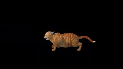 Orange Sarman Cat Pawn Attack